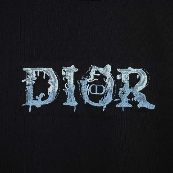 Dior T Shirts Short _SKUDiorS-2XLxetr22715929